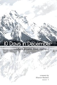 bokomslag 10 Days in December