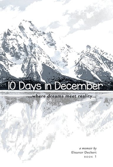 bokomslag 10 Days in December