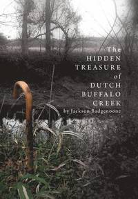 bokomslag The Hidden Treasure of Dutch Buffalo Creek