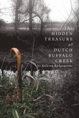 bokomslag The Hidden Treasure of Dutch Buffalo Creek