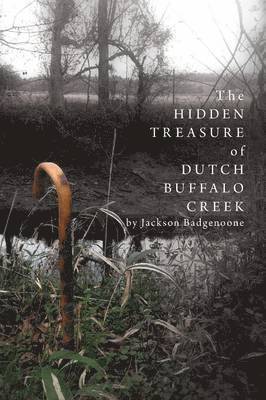 Jackson Badgenoone - Hidden Treasure of Dutch Buffalo Creek, Häftad