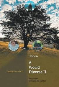bokomslag World Diverse II