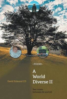 bokomslag World Diverse II
