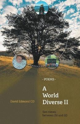 bokomslag World Diverse II