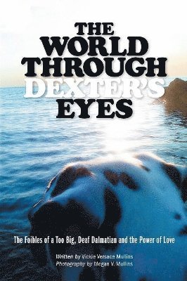 The World Through Dexter's Eyes 1