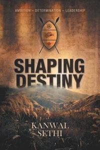 bokomslag Shaping Destiny