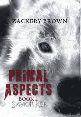 bokomslag Primal Aspects Book 1