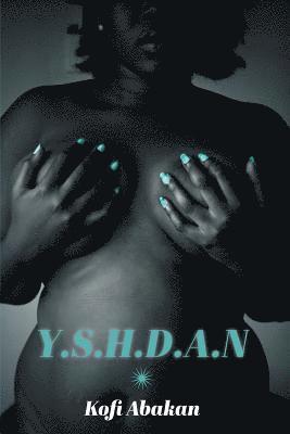 Y.S.H.D.A.N 1