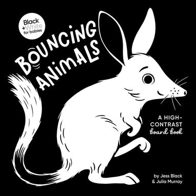 Jess Black - Bouncing Animals, Kartonnage