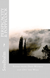 Soulbalm - Perspicacity & Poppycock: Poems from Deep Within and Off the Wall, Häftad