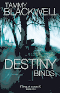 bokomslag Destiny Binds