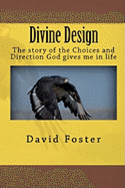 David Foster - Divine Design, Häftad