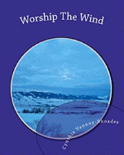bokomslag Worship The Wind: Lessons from Nature