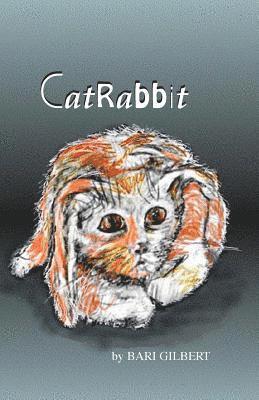 CatRabbit 1
