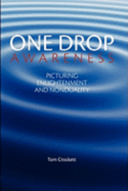 bokomslag One Drop Awareness: Picturing Enlightenment and Nonduality