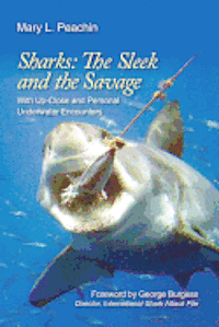 bokomslag Sharks The Sleek and The Savage: with up close and underwater personal encounters