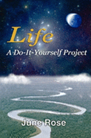 bokomslag Life: A Do-It-Yourself Project: One Woman's Journey Discovering Life's Riches