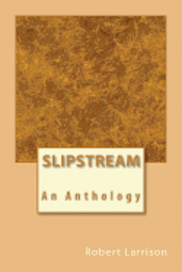 bokomslag Slipstream