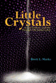 bokomslag Little Crystals: A Low Sodium Journey Through the Salted Land