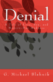 bokomslag Denial: A Tale of Love, Sex, and Modern-Day Madness