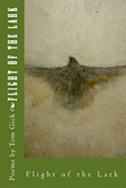 Flight of the Lark 1