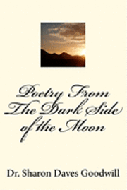 bokomslag Poetry From The Dark Side of the Moon: Poetry From The Dark Side of the Moon