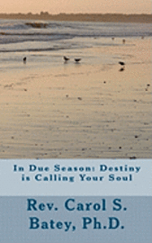 bokomslag In Due Season: Destiny is Calling Your Soul