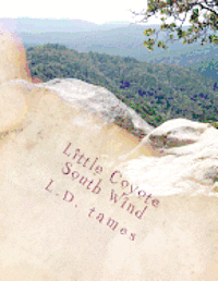 bokomslag Little Coyote South Wind: children's book