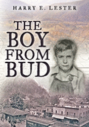 bokomslag The Boy from Bud