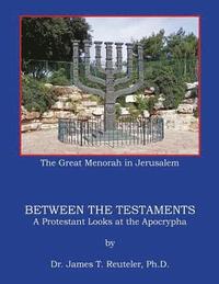 bokomslag Between the Testaments: A Protestant looks at the Apocrypha
