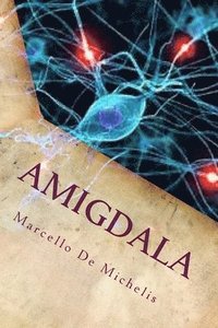 bokomslag Amigdala: Romanzo Giallo