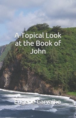 Eugene Carvalho - A Topical Look at the Book of John, Häftad