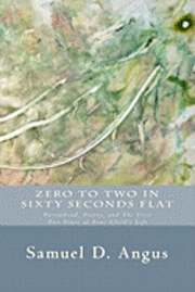 bokomslag Zero to Two in Sixty Seconds Flat: Parenthood, Poetry, and First Two Years of Your Child's Life