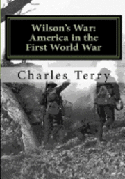 Charles Terry - Wilson's War: America in the First World War, Häftad