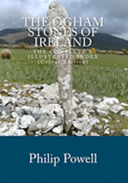 bokomslag The Ogham Stones of Ireland (Color Edition): The Complete & Illustrated Index
