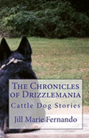 bokomslag The Chronicles of Drizzlemania