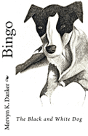 Bingo: The Black and White Dog 1