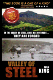 bokomslag Valley of Steel