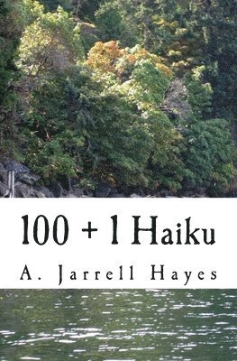 bokomslag 100 + 1 Haiku
