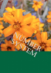 Number system 1