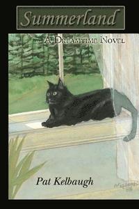 bokomslag Summerland: a Dreamtime novel