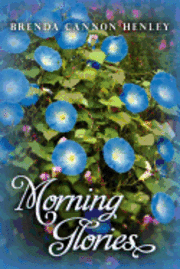 bokomslag Morning Glories