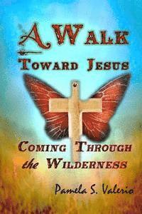 bokomslag A Walk Toward Jesus: Coming Through the Wilderness