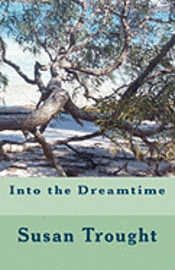 bokomslag Into the Dreamtime