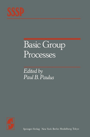 P. B. Paulus - Basic Group Processes, Häftad