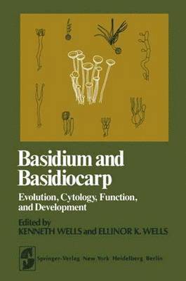 Basidium and Basidiocarp 1