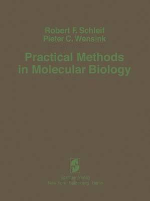 bokomslag Practical Methods in Molecular Biology