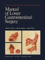 bokomslag Manual of Lower Gastrointestinal Surgery