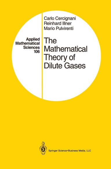 Carlo Cercignani, Reinhard Illner, Mario Pulvirenti - Mathematical Theory of Dilute Gases, Häftad