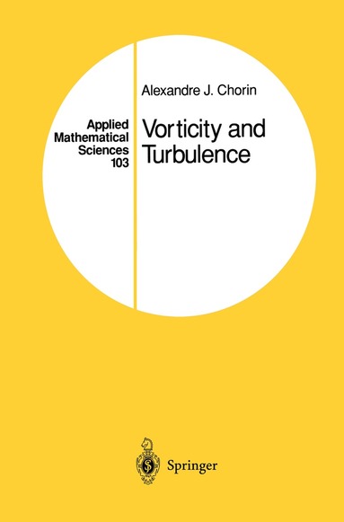 bokomslag Vorticity and Turbulence